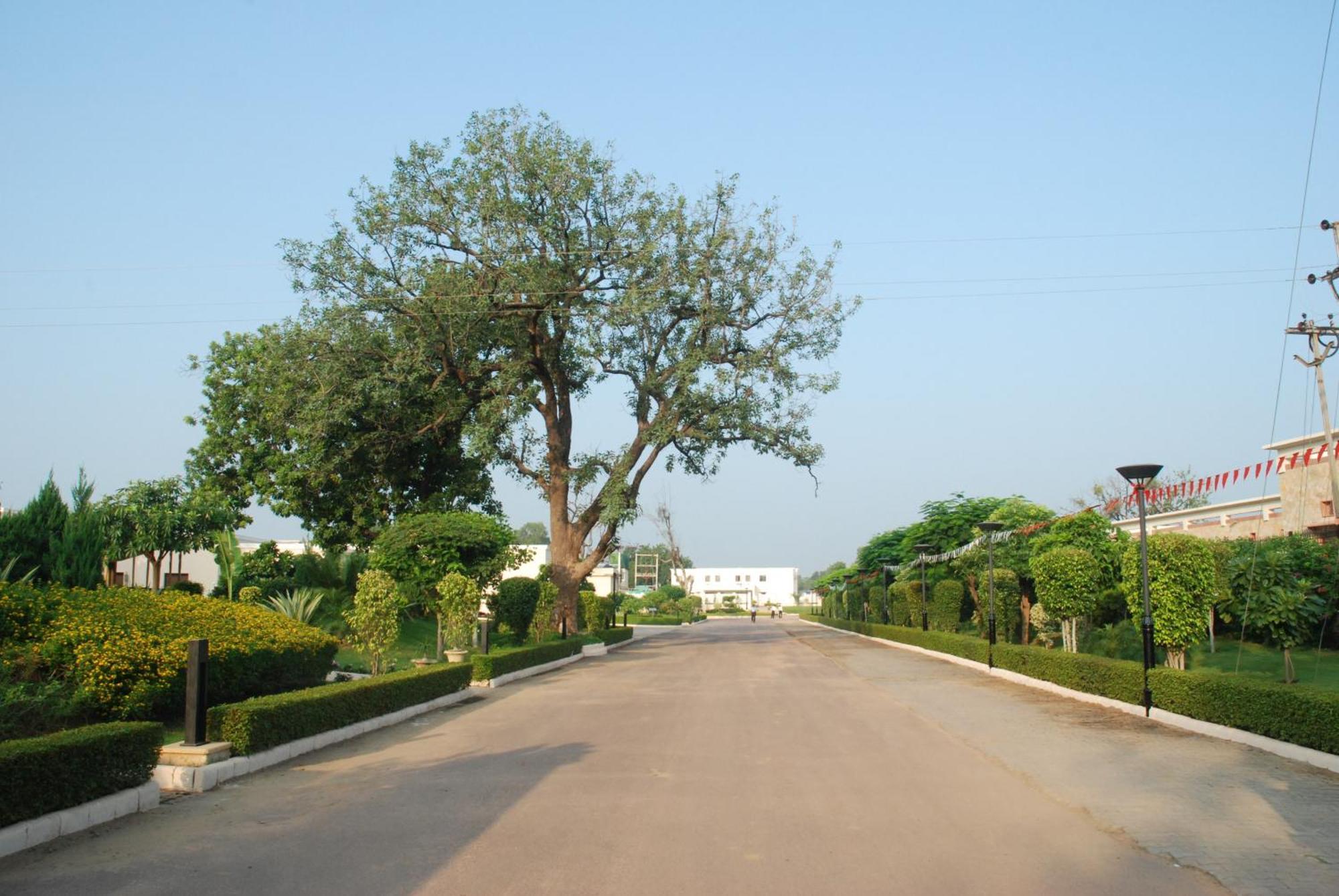 The Lalit Temple View Hotell Khajurāho Eksteriør bilde